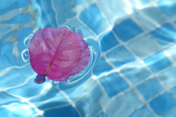 וואטסו משתמשת בשיטות זן שיאצו במים